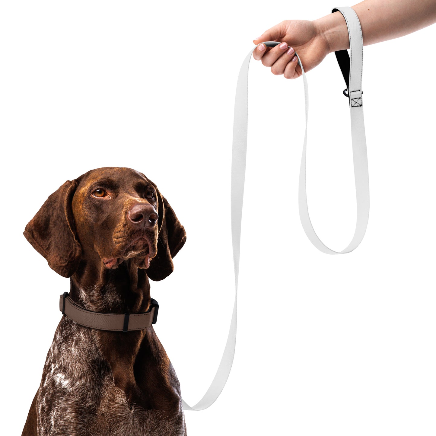 Pet leash