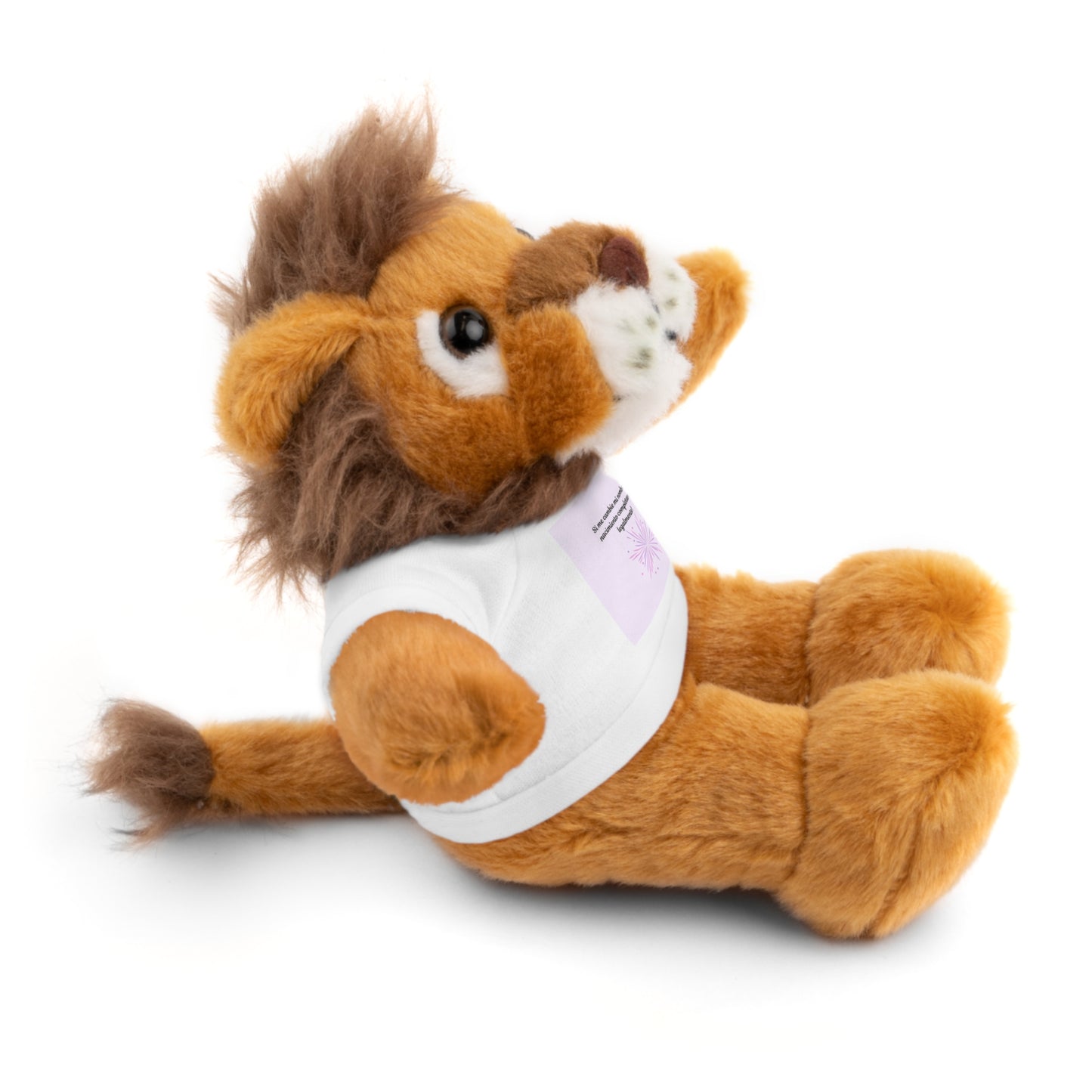 Custom Stuffed Animal with Tee | Personalized Cuddly Bear | Gift for Kids, Birthdays, Holidays, Keepsake, Snuggly Toy