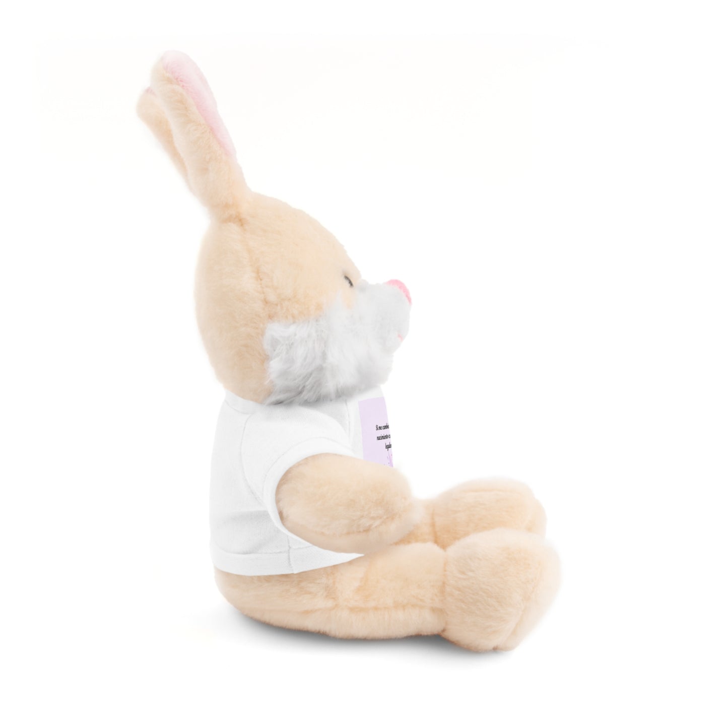Custom Stuffed Animal with Tee | Personalized Cuddly Bear | Gift for Kids, Birthdays, Holidays, Keepsake, Snuggly Toy
