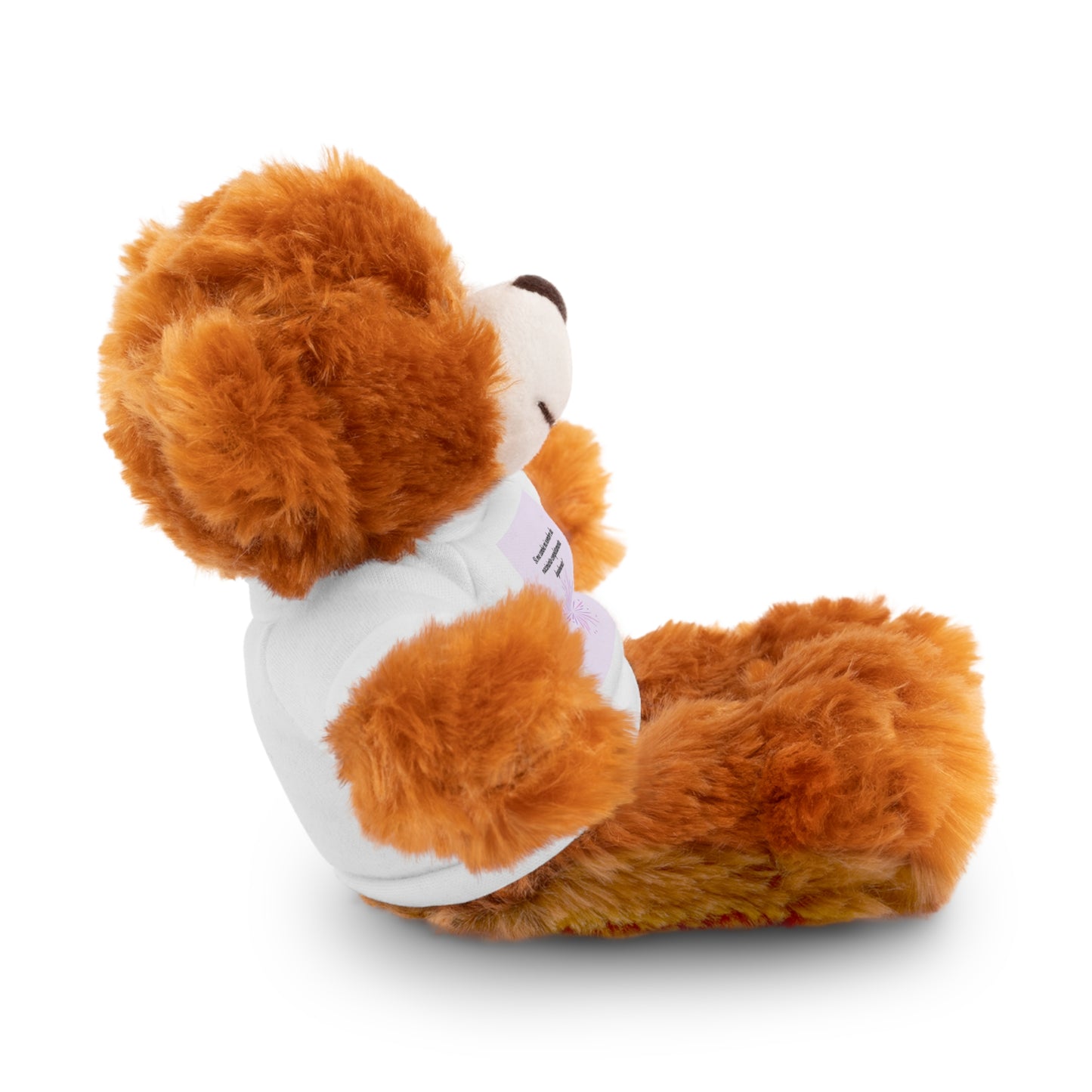 Custom Stuffed Animal with Tee | Personalized Cuddly Bear | Gift for Kids, Birthdays, Holidays, Keepsake, Snuggly Toy