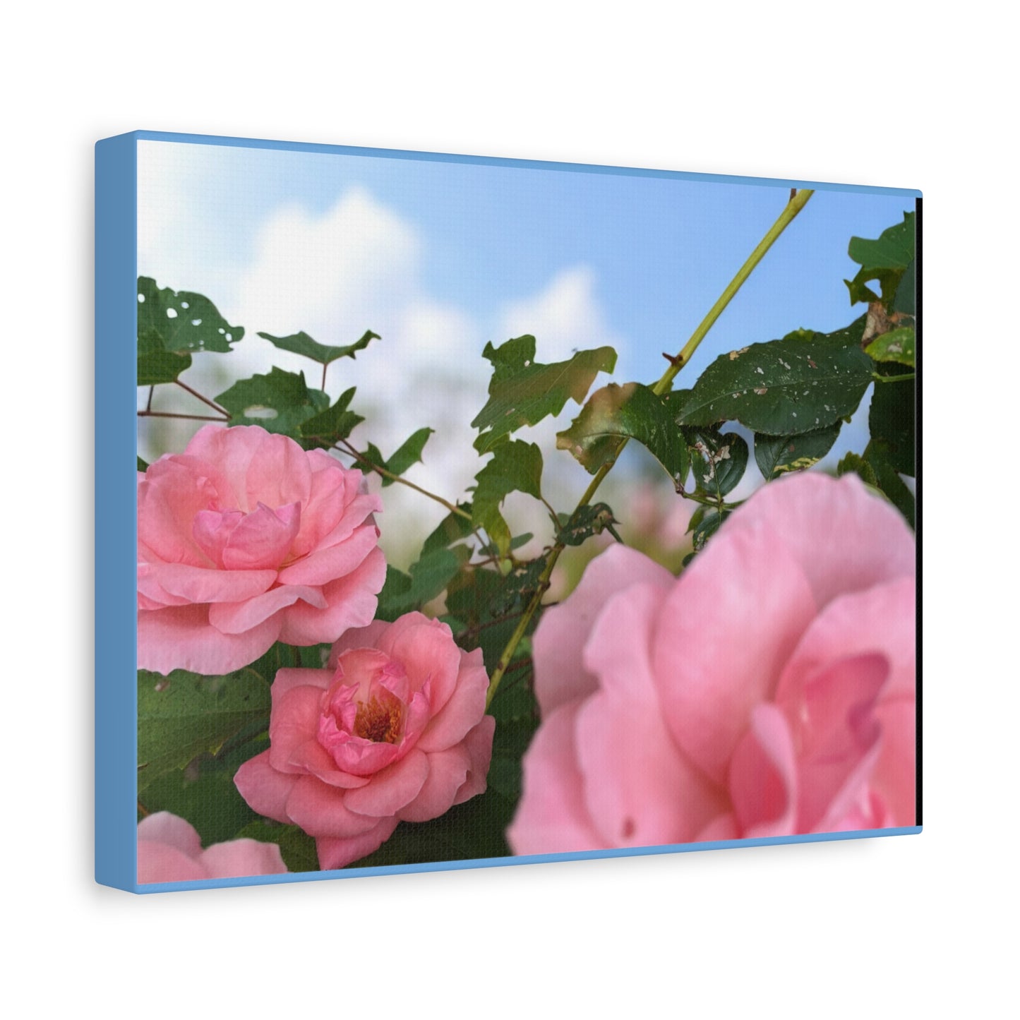 Pink Rose Canvas Art Print, Home Decor, Floral Wall Art, Gift for Her, Mother's Day Decoration
