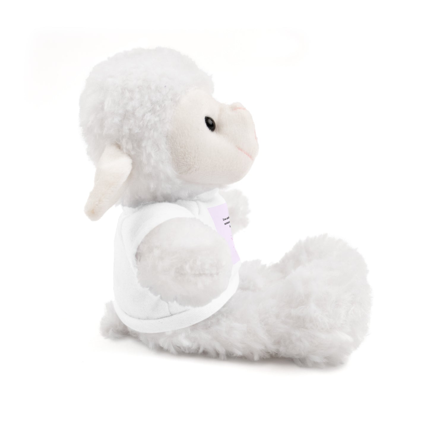 Custom Stuffed Animal with Tee | Personalized Cuddly Bear | Gift for Kids, Birthdays, Holidays, Keepsake, Snuggly Toy