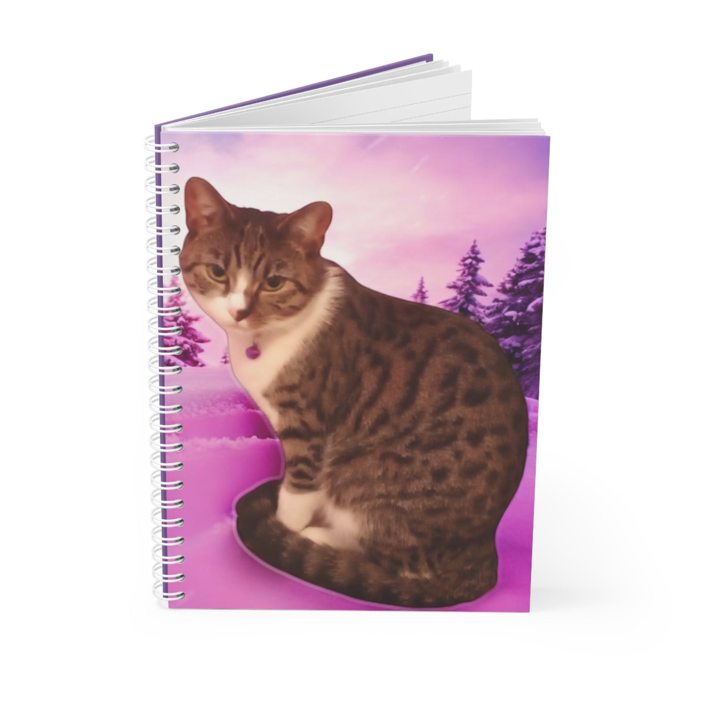 Whimsical Cat Spiral Notebook, Cute Cat Journal, Animal Lover Gift, School Supplies, Cat Mom Note Book, Pet Lover Stationery