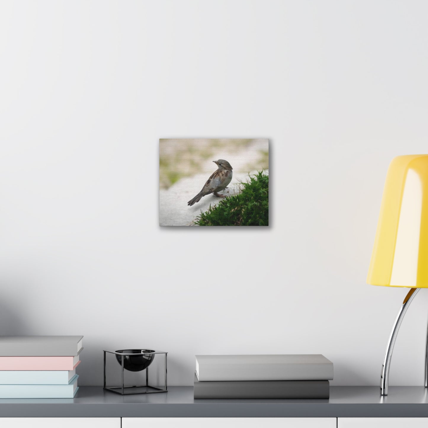 Bird Canvas Wall Art - Nature Decor, Wildlife Photography, Gift for Bird Lovers, Home Decoration, Rustic Wall Art