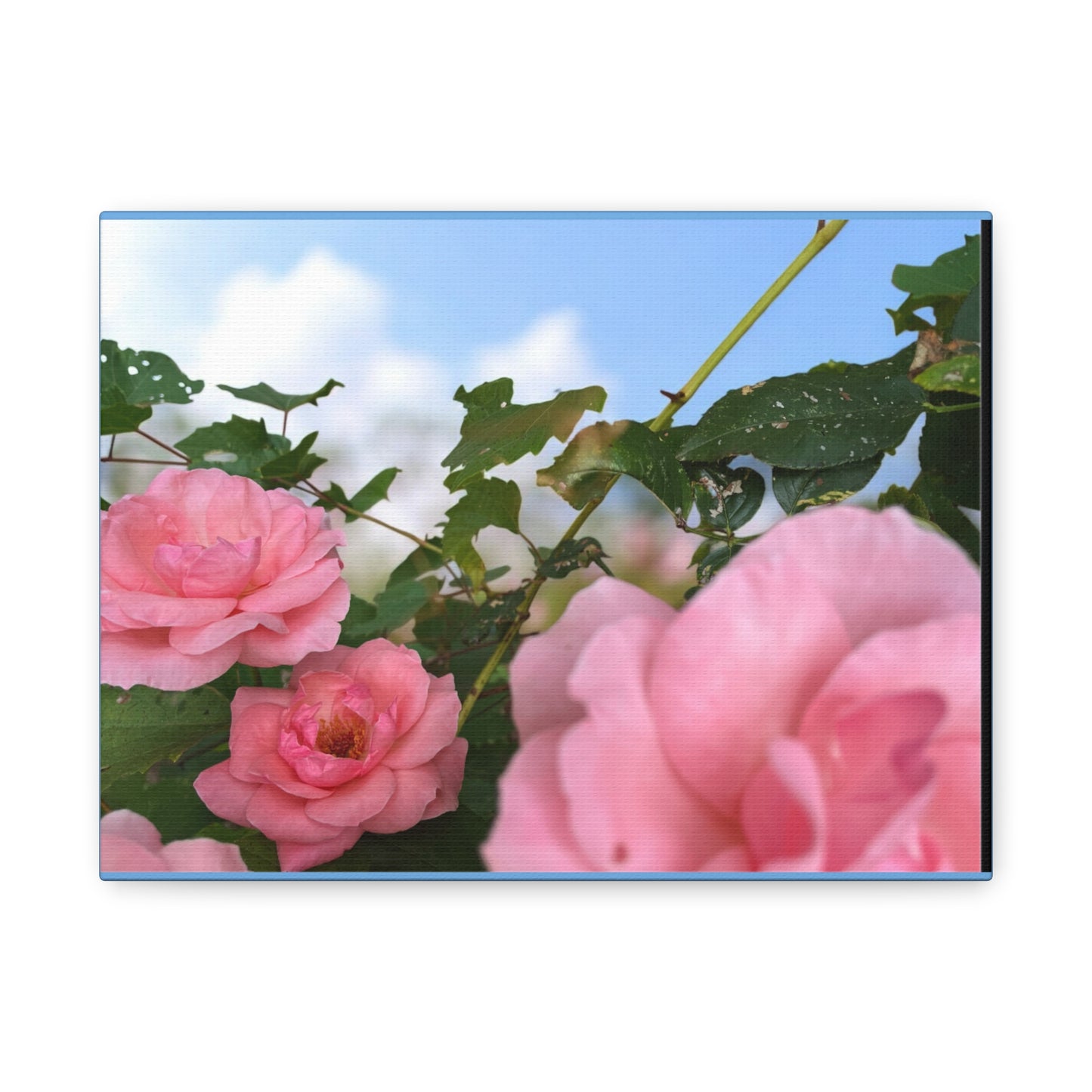Pink Rose Canvas Art Print, Home Decor, Floral Wall Art, Gift for Her, Mother's Day Decoration