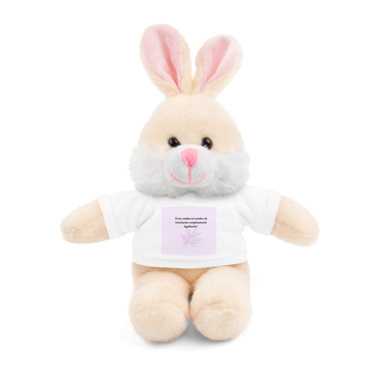 Custom Stuffed Animal with Tee | Personalized Cuddly Bear | Gift for Kids, Birthdays, Holidays, Keepsake, Snuggly Toy
