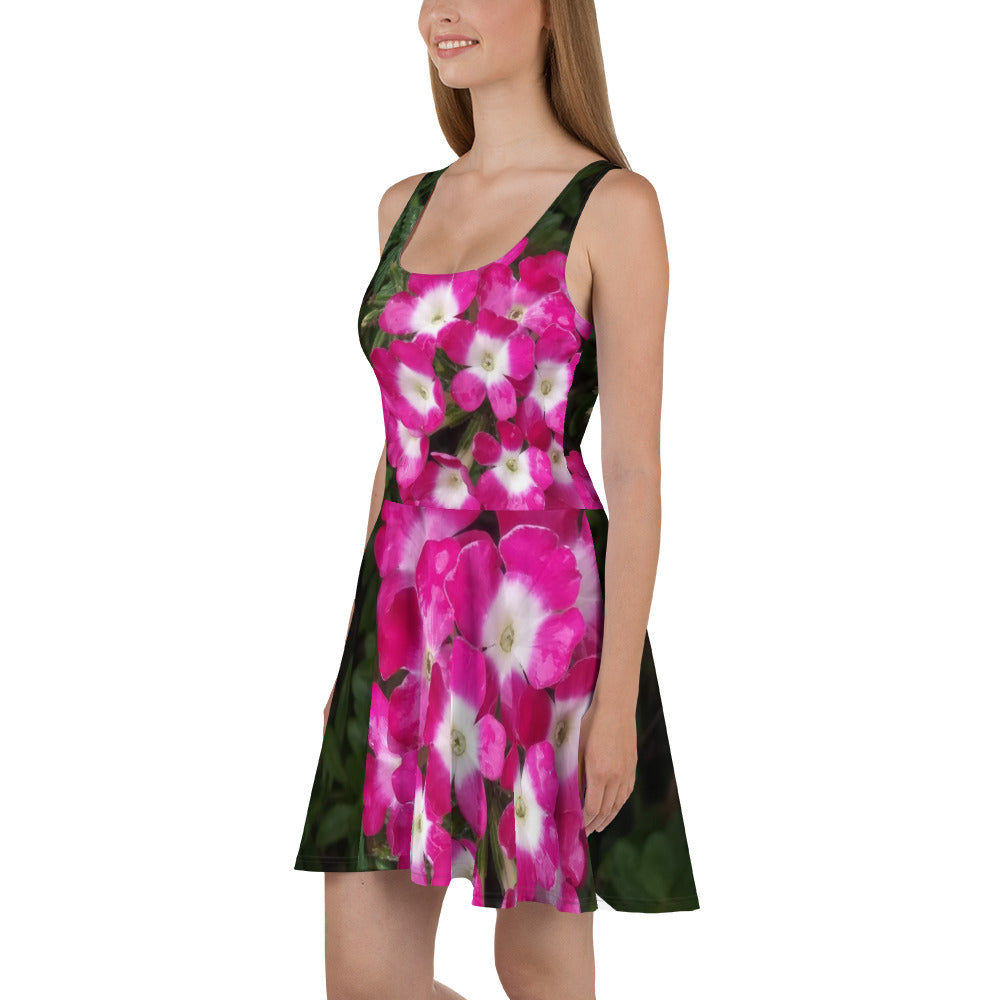 Skater Dress