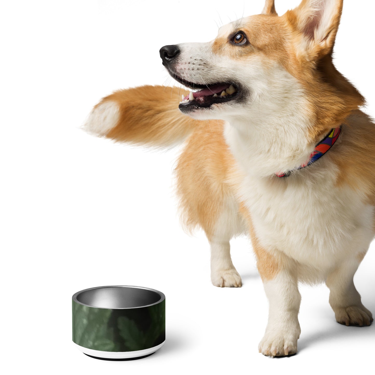 Pet bowl