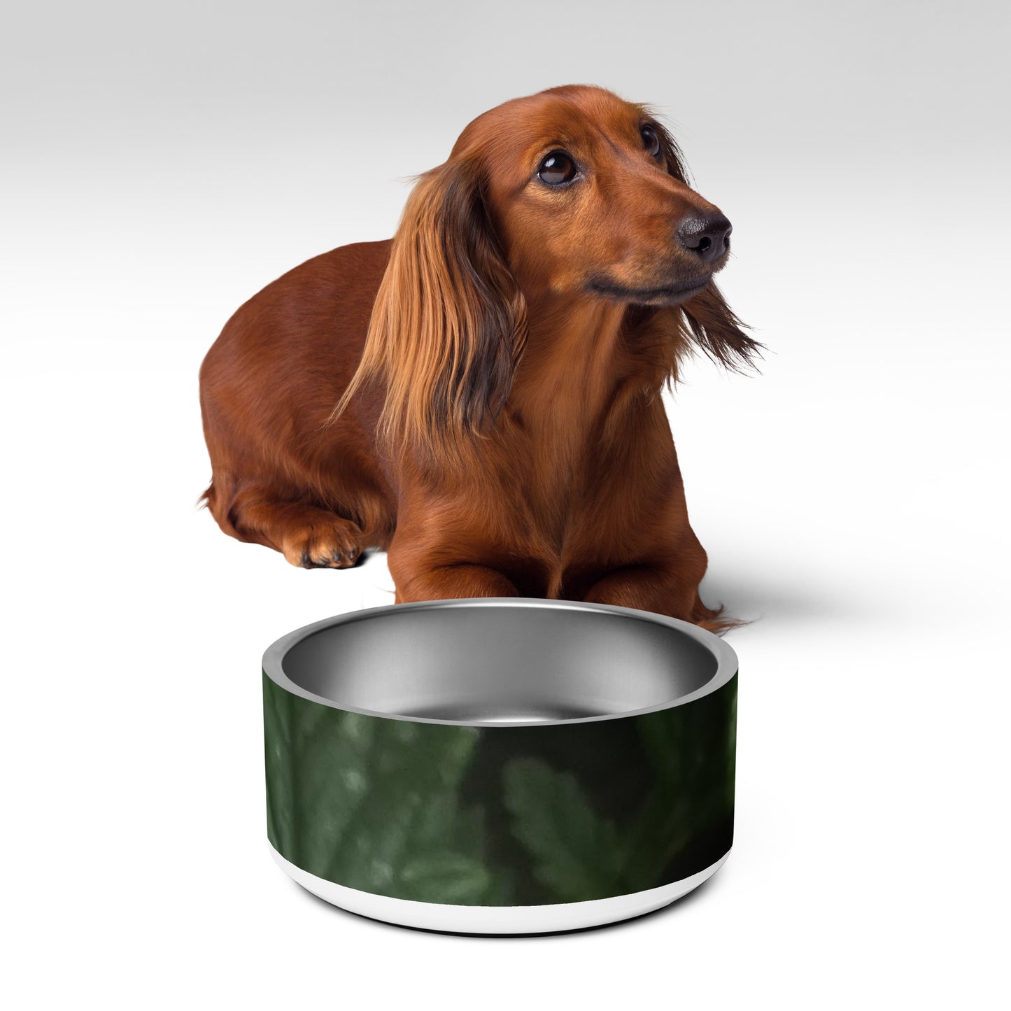 Pet bowl