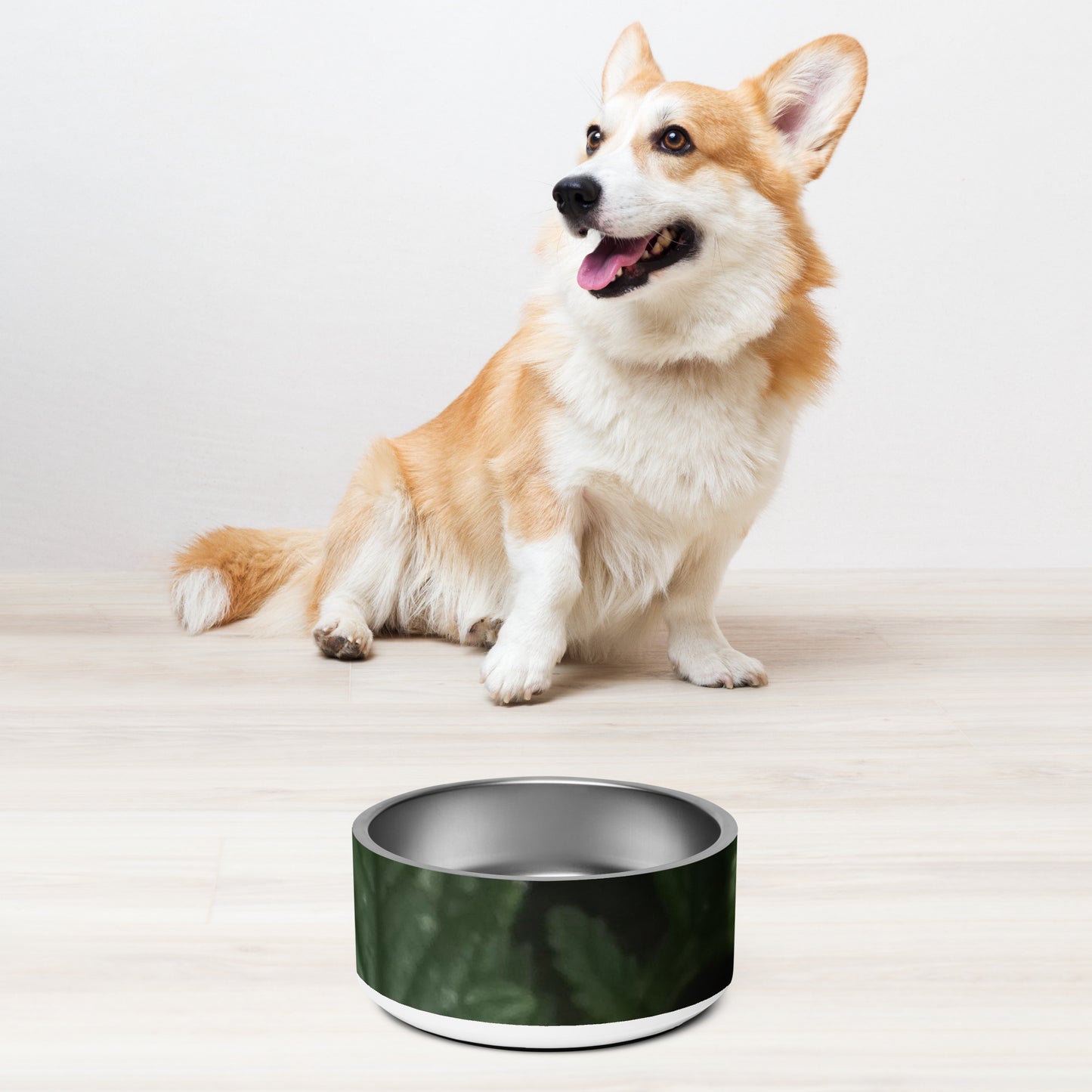 Pet bowl