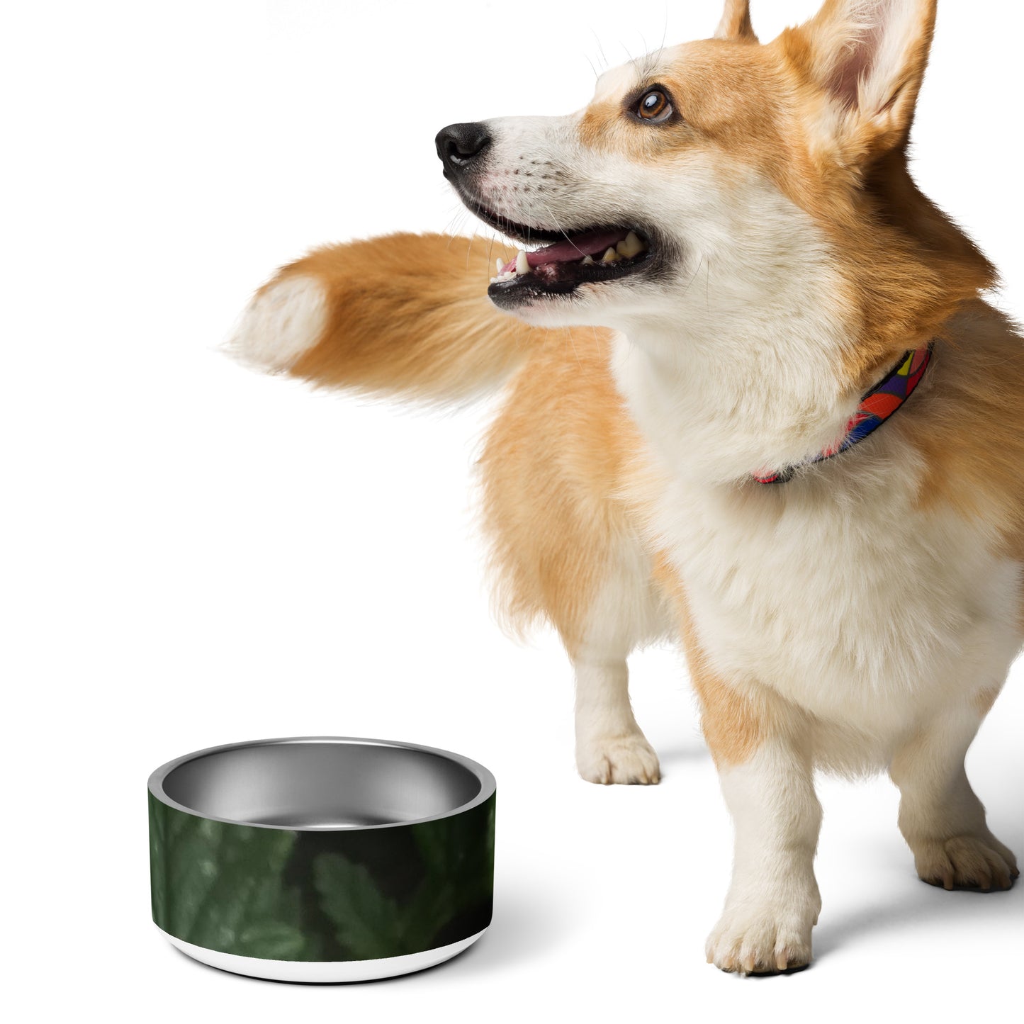 Pet bowl