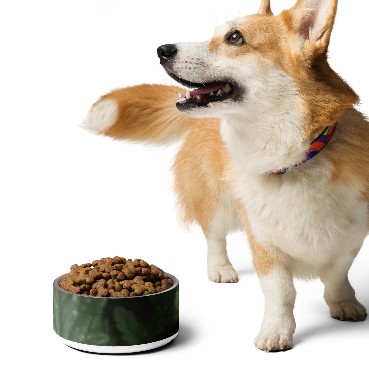 Pet bowl