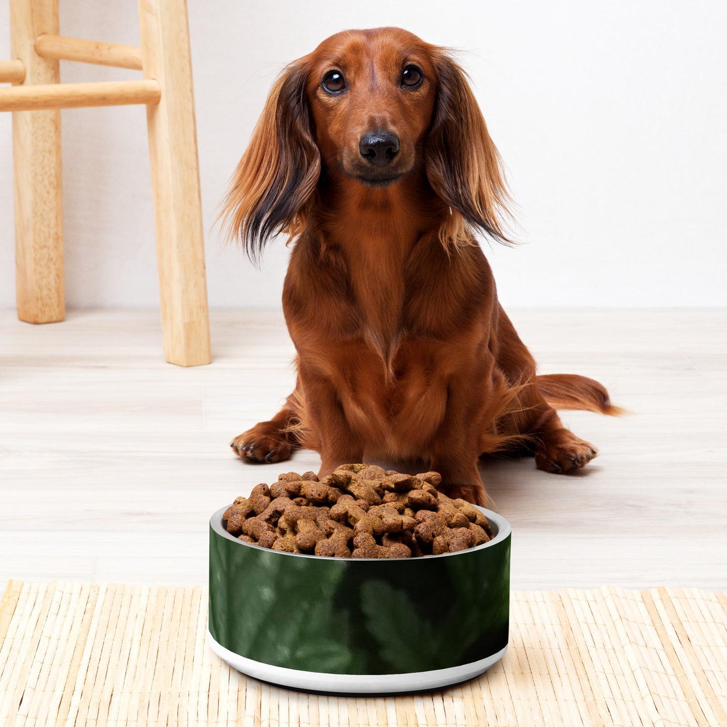 Pet bowl
