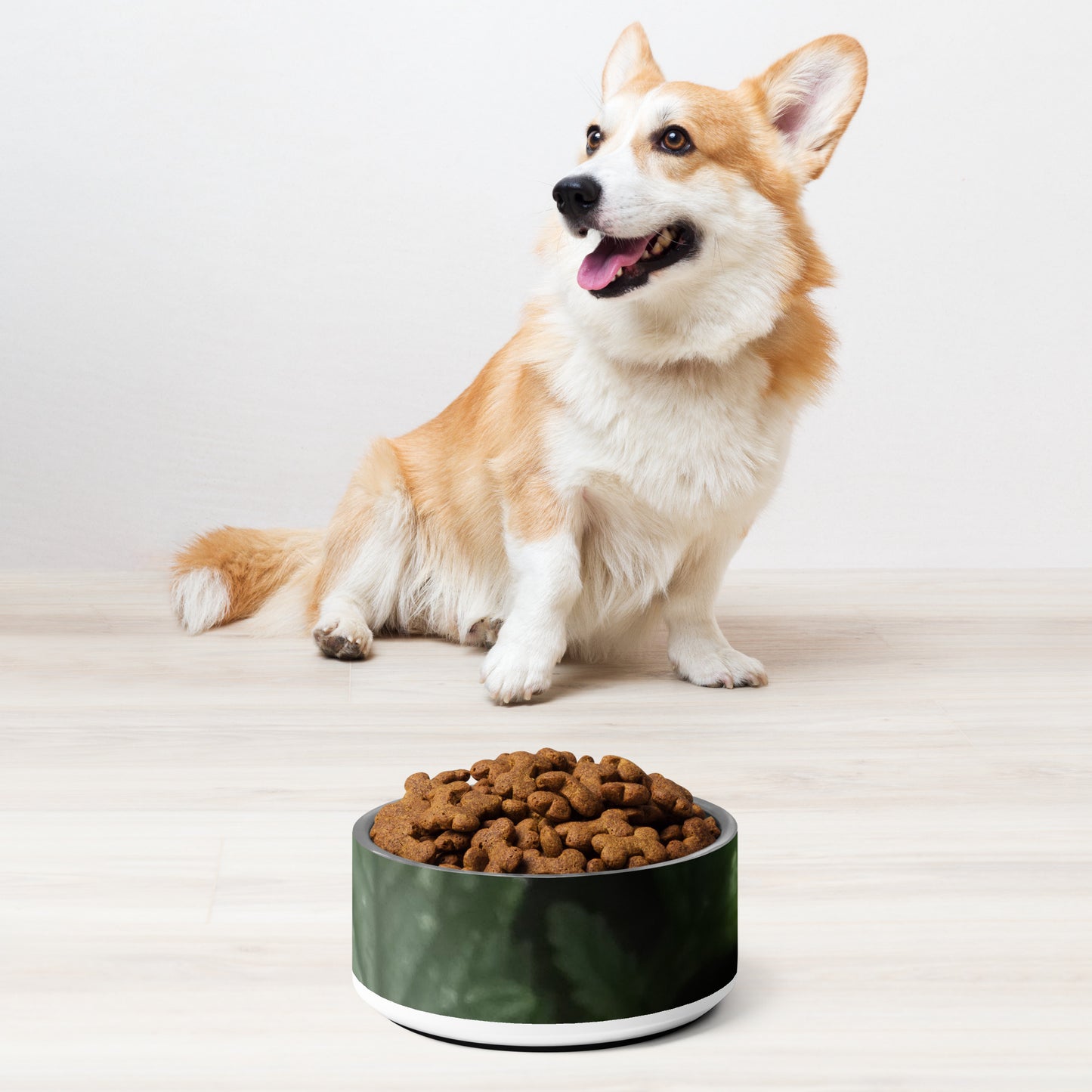 Pet bowl