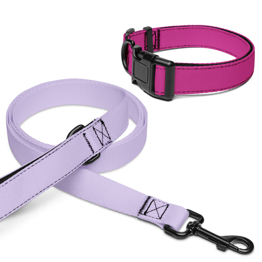 Pet collar & leash