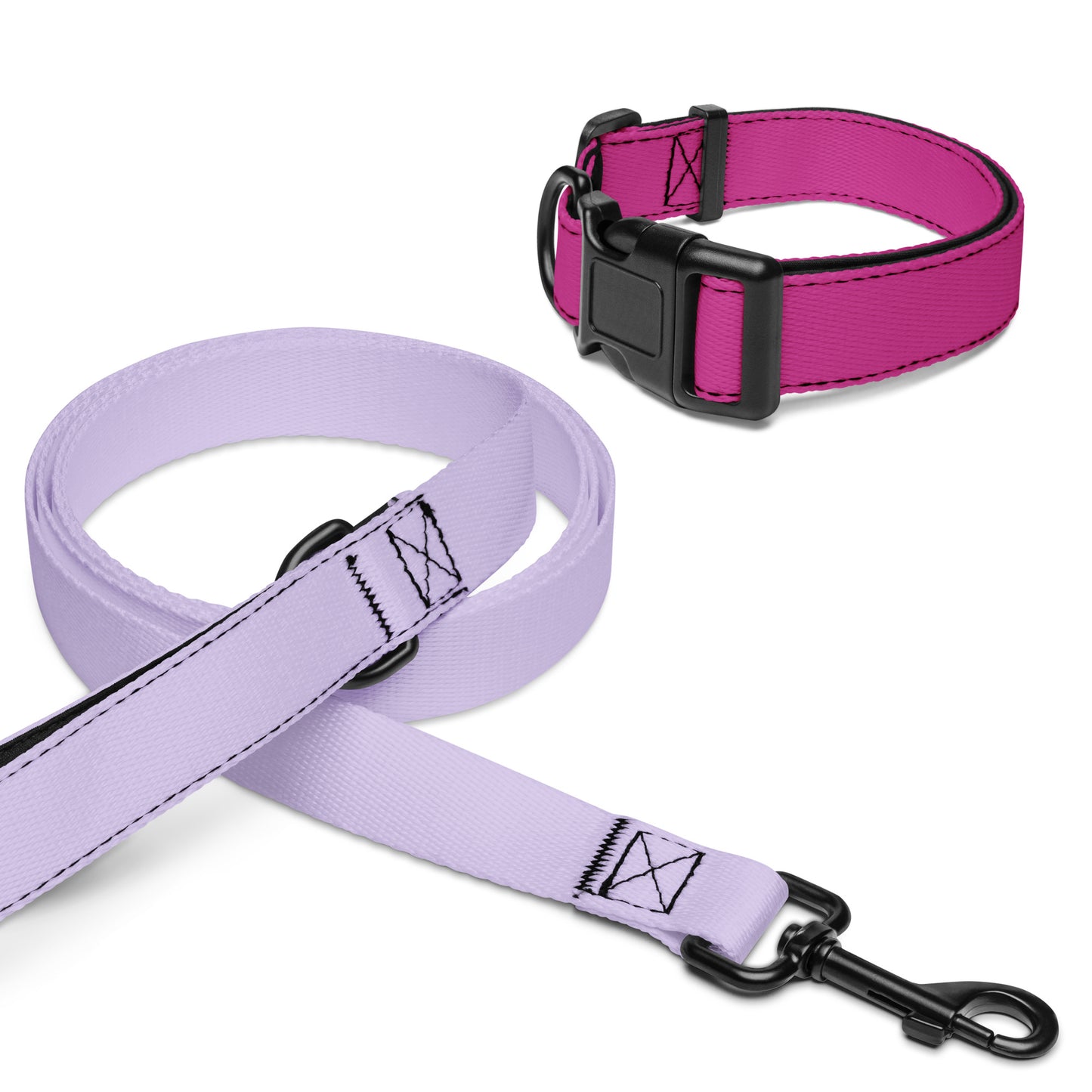 Pet collar & leash