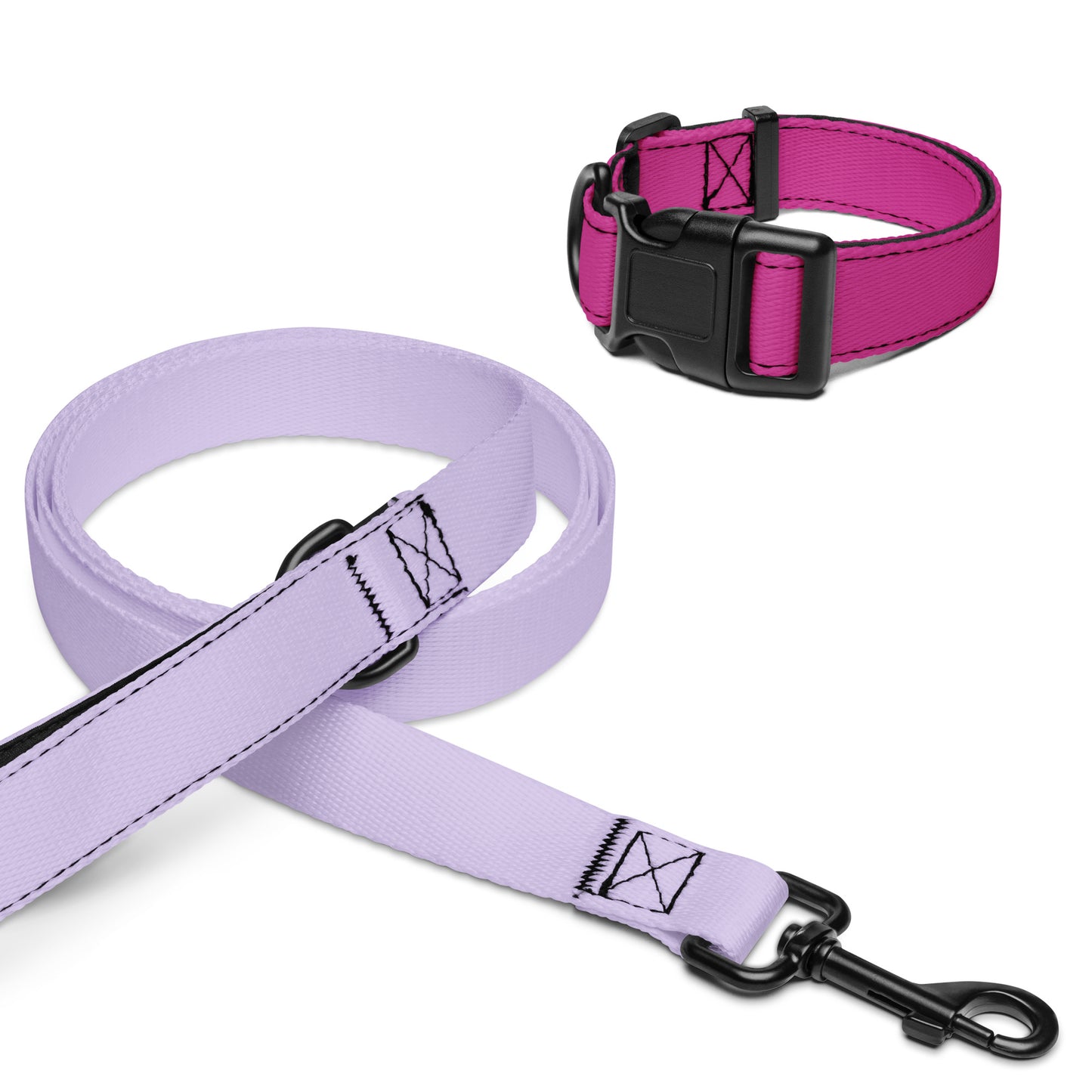 Pet collar & leash