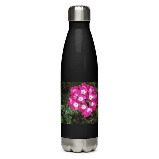 Stainless steel water bottle