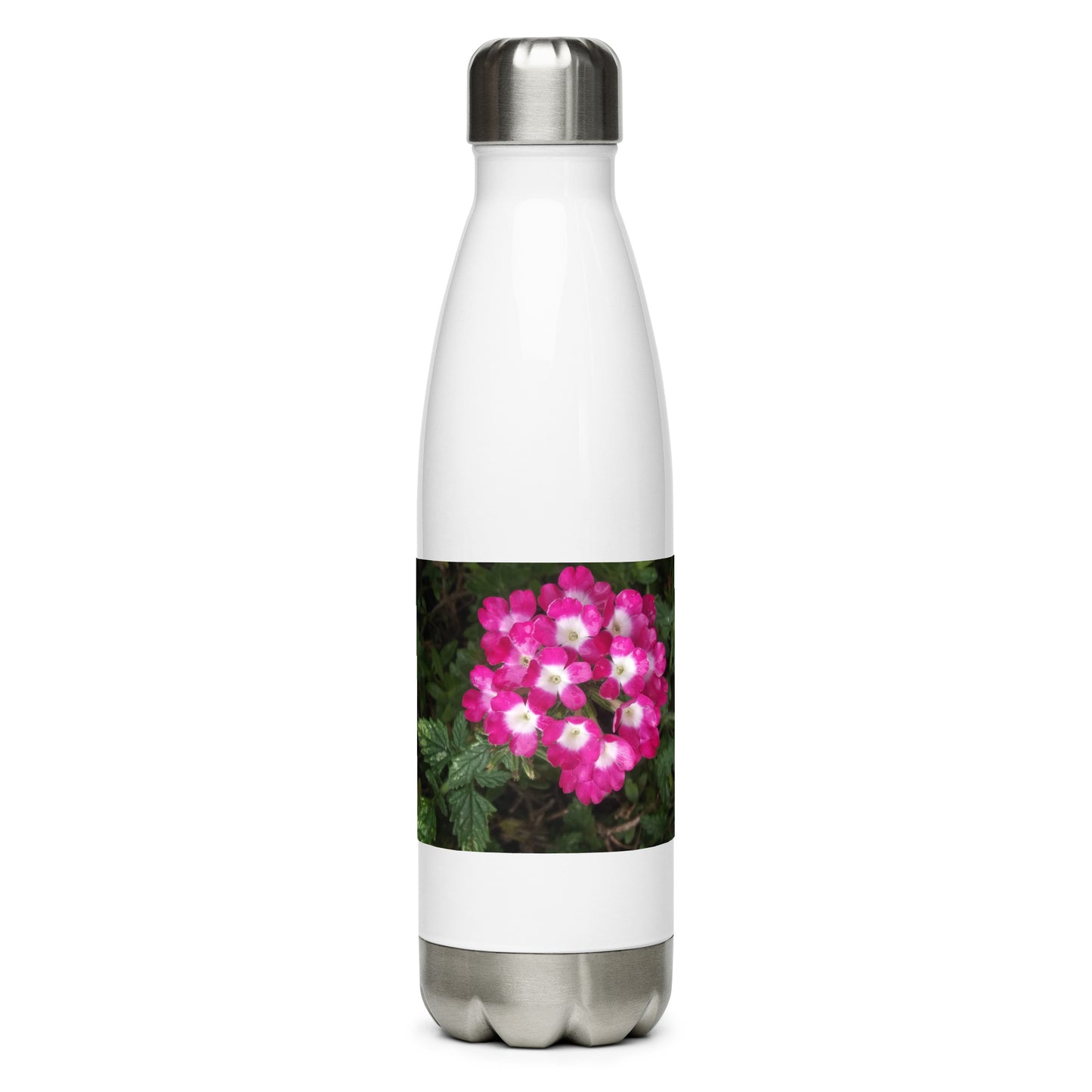 Stainless steel water bottle